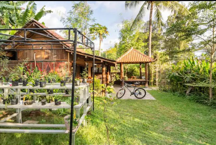 Al-Shifa Healing House Lombok Hotel Gili Air Eksteriør billede
